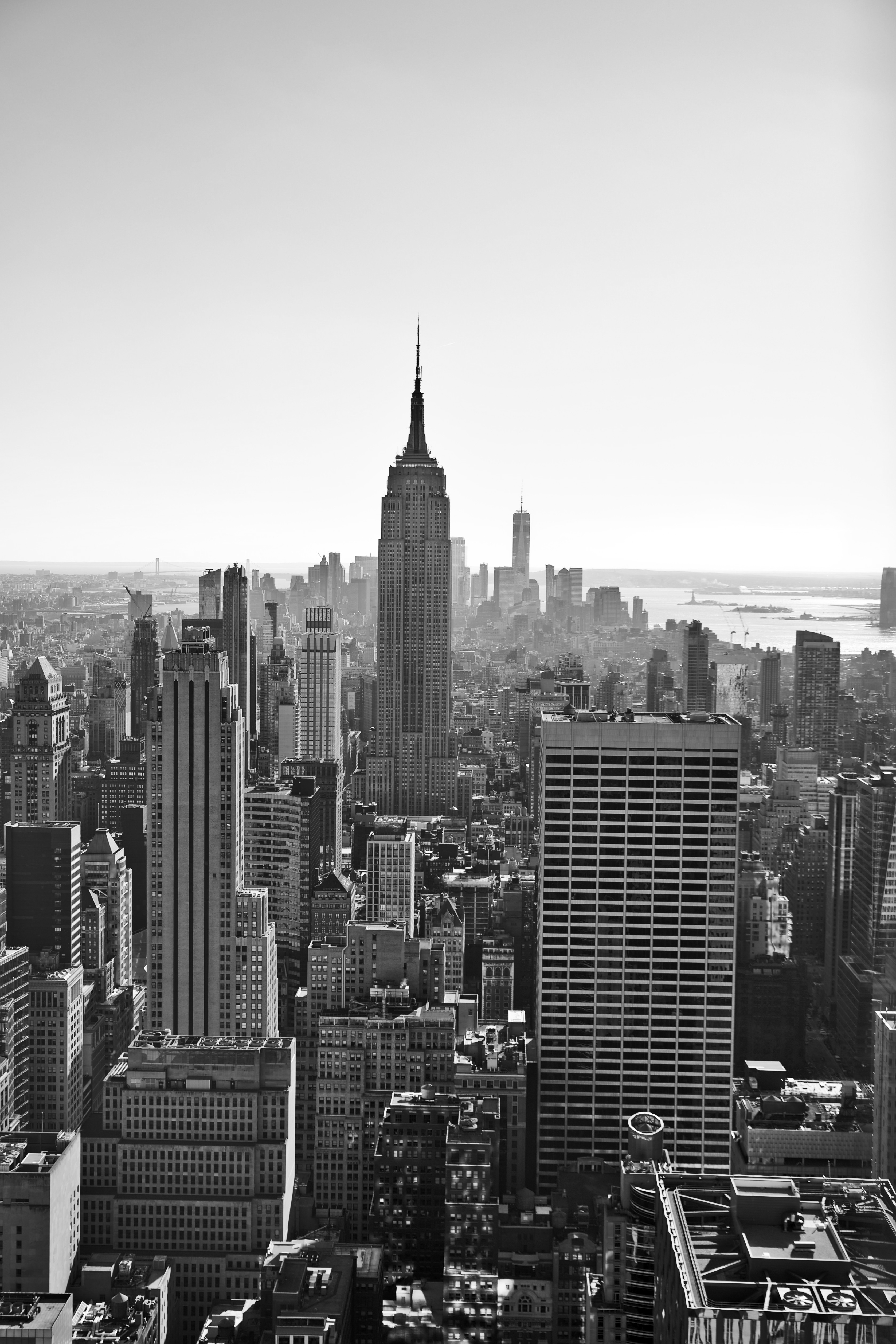 new york city